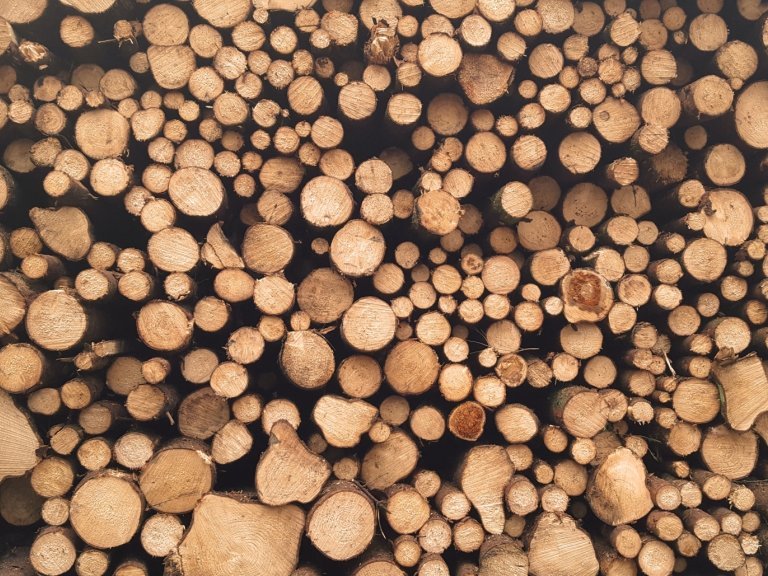 dorelys-smits-UuX-Le3bfzc-unsplash